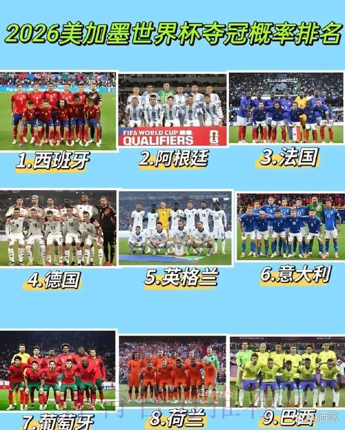 2026年世界杯投注风险管控与稳健方案解析